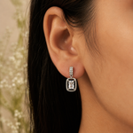 Load image into Gallery viewer, Crystal Frame Drop Earrings