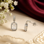 Load image into Gallery viewer, Crystal Frame Drop Earrings