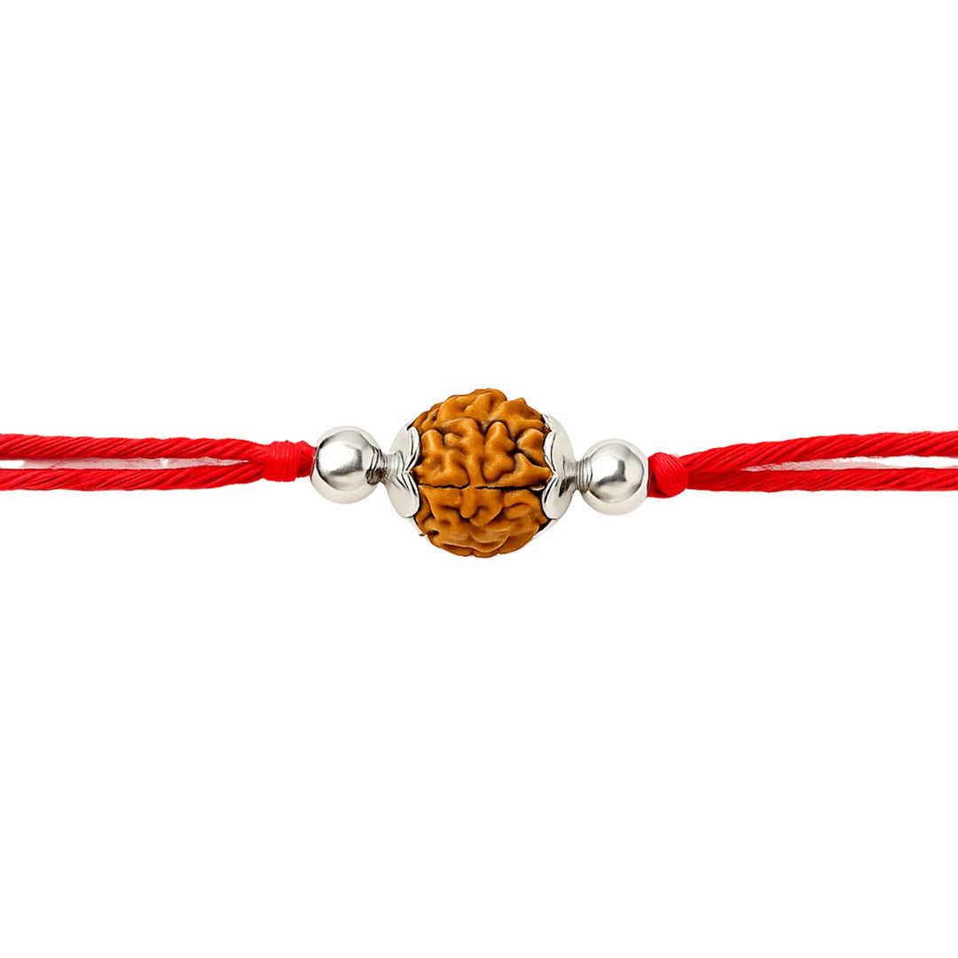 Elegant Rudraksha Silver Rakhi with Red Thread Silver Ocean Elegant Rudraksha Silver Rakhi with Red Thread